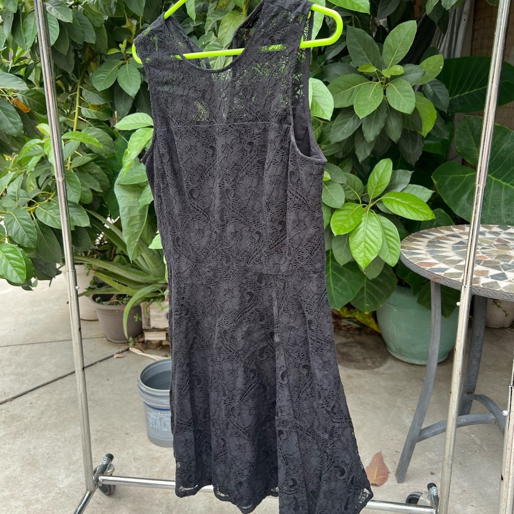 Banana republic lace a line skater skirt dress